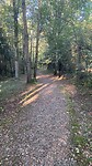 Een fijn pad op weg naar Bilbao