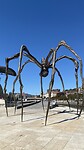 Guggenheim museum