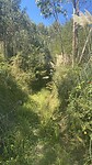 Het pad loopt dood, dan maar weer terug en omlopen