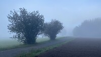 Een mistig en regenachtig begin van de dag