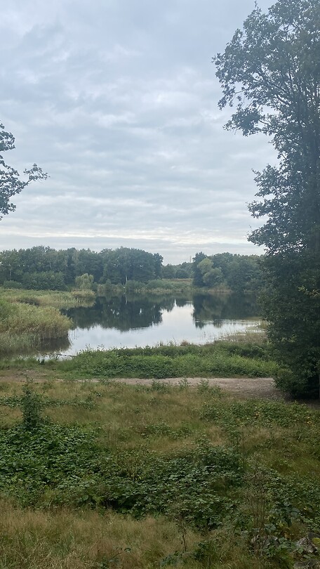 Zie ik toch nog iets van de Brabantse omgeving