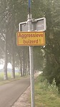 Met gevaar voor eigen leven