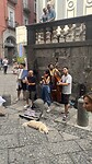 Opgezweept door de tarantella