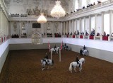 spaanse ruiterschool Wenen