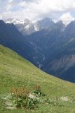 Een uitloper van de gletscher van de Ushba.