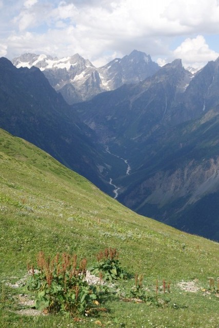 Een uitloper van de gletscher van de Ushba.