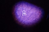 Een petroglyph van een totem.