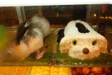 Een schattige ijstaart.
