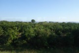 Naast rijstvelden zie je hier vooral veel boomgaarden (nu groene sinaasappel en appels).
