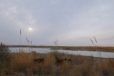 Overstromingsgebied van Amu Darya.