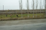 Aan het werk op het land.