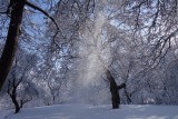 Harmonie van sneeuw en licht.