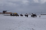 Deze jongelui oefenen Ulak, maar dan met een gevulde zak eerder dan met een onthoofd schaap.