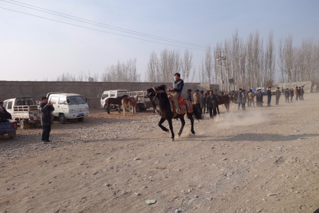 Een testrit op een sterk en snel paard.