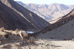 Landschap rond Xiahe op 3243 meter hoog