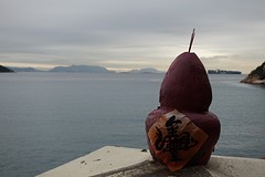 Vanuit de Taoistische tempel in Stanley