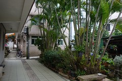 Ping Shan is nu ook nog dichtbevolkt maar alleen de oudste monumenten zijn bewaard , de rest niet.
