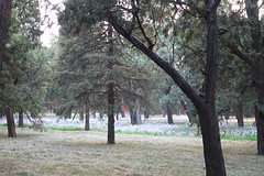 In het park rond de tempel van de hemel.