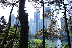 Dongbaek in Pusan