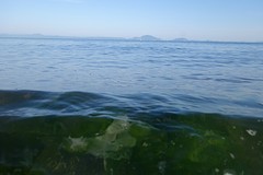 De Ariake zee met zijn algen. Aan de overkant Kumamoto.