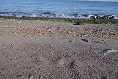 Vulkanisch strand aan de Ariake zee.