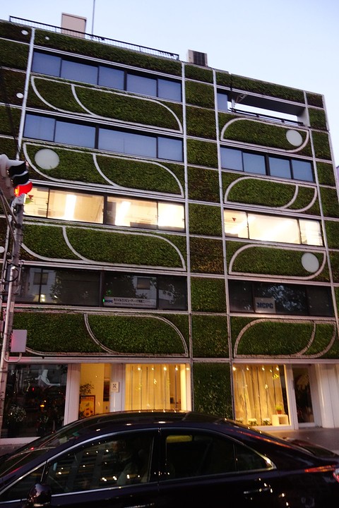 Een verticale tuin.