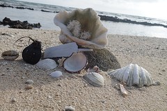 Kunstige constructie met wat ik vond op dit strandje, naast Starsand beach.