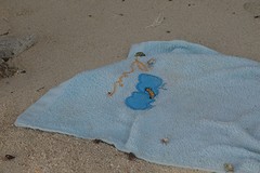 Even weg en de beestjes kruipen uit het zand op mijn hemd.