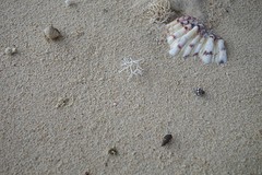 Zo ziet het strand er hier uit.