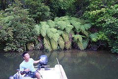 Varens op de Urauchirivier