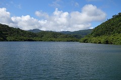 Een van mijn eerste blikken op de Urauchi rivier op Iriomote.