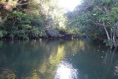 Vanochtend op Iriomote