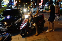 Hondjes op de vespa.