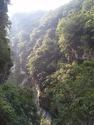 Pacific Zwaluwen pad.