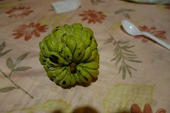 Cherimoya = tempelkop = castapple.