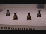 "Aibo" robotjes stellen een dansje voor in Robosquare.