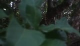 Onze eerste halte op de bloemenzoektocht.