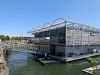 De koeien wachten op de brug om de stal binnen te gaan. De dierenarts is aan het werk.