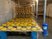 kazen moet rusten in, ook in de floating farm