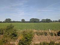 Onderweg op het eiland