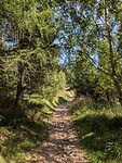 Op deze wandeling was het rustig.