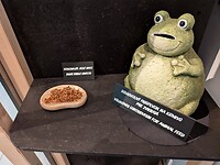 Gratis insecten voor de bezoekers.