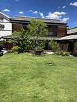 IMG_0087