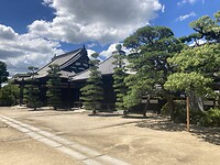 IMG_0089
