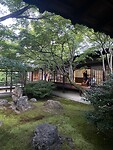 IMG_2659