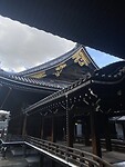 IMG_2642