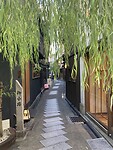 IMG_5754