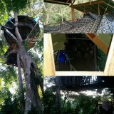 Tree House #1