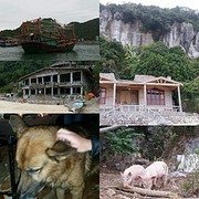 Cat Ong Island