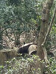 IMG_4314